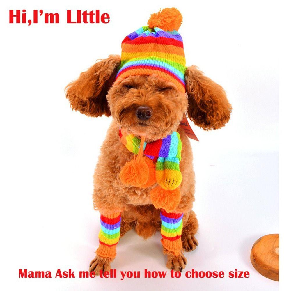 GIOVANNI Bộ Đồ HóA Trang Có Khăn ChoàNg Cho Thú Cưng