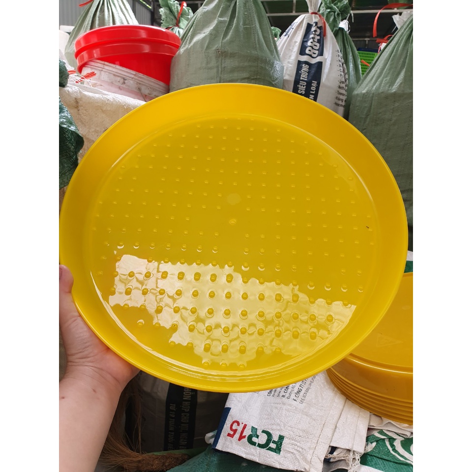 Khay tập ăn gà con loại đẹp