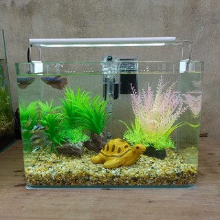 Bể cá mini 30 cm và 7 món , pk sứ nhỏ)