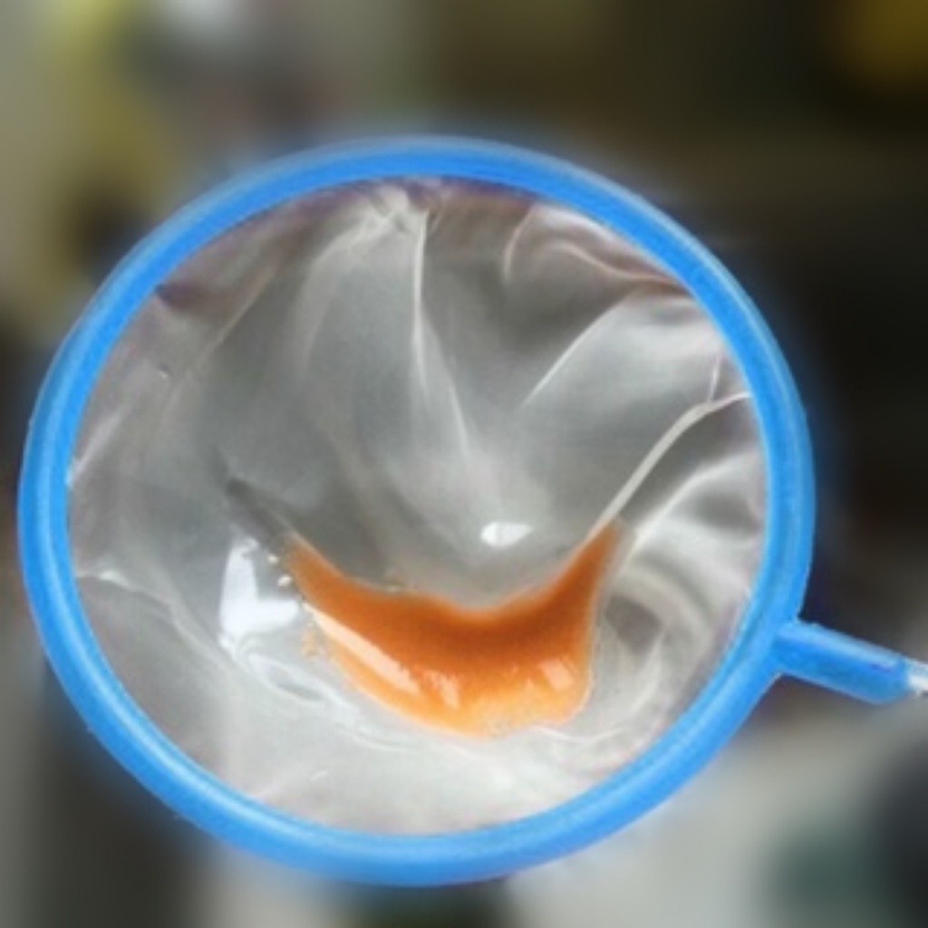 Vợt nano mịn dùng vớt cá con, artermia, bobo