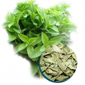 Cỏ Ngọt khô 1kg