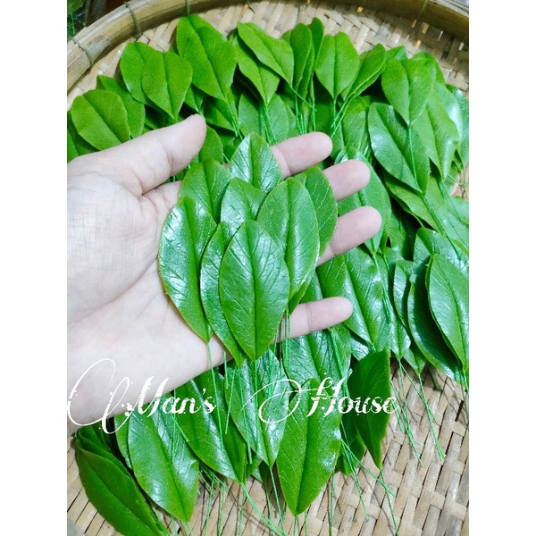 lá mai, lá đào đất sét