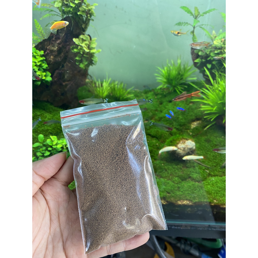 Cám Thái Inve  5/8 (Thức Ăn Cá Cảnh 50g)