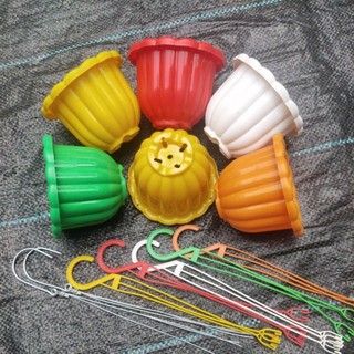 Chậu treo mini hình bí nhiều màu kèm móc treo