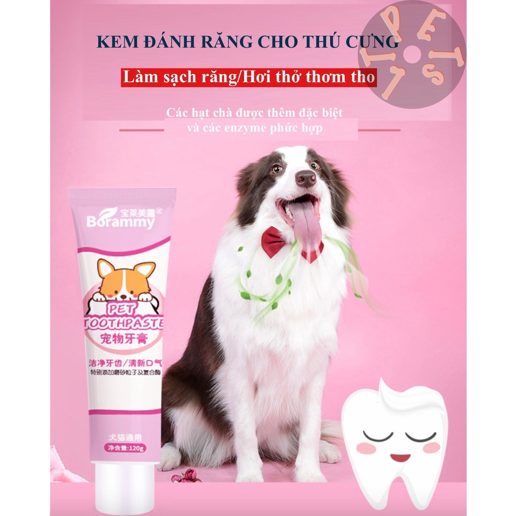 Bộ Kem Đánh Răng Và Bàn Chải Đánh Răng Chó Mèo chính hãng BORAMMY