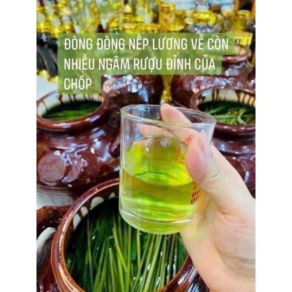 1L RƯ.Ơ.U đòng đòng lúa nếp hạ thổ thơm ngon - HÀNG ĐẢM BẢO CHẤT LƯỢNG 100% - DƯỢC LIỆU HÀ HOÀNG