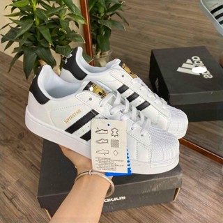 Giày saker Nam Nữ Trắng Adidas Mũi Sò, Giày Thể Thao Das Sò Đủ Size Nam Nữ 2022 A149 Evelynn Sneaker