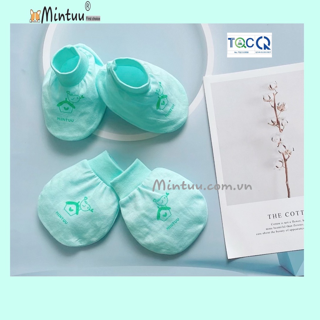 Bao tay bao chân sơ sinh, bao tay chân bo màu thương hiệu MINTUU, chất liệu vải 100% cotton