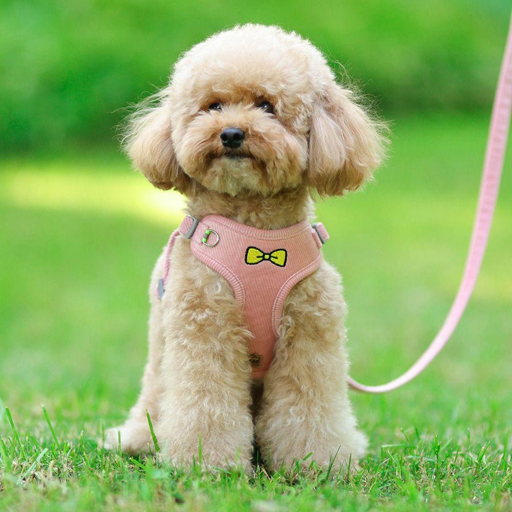 Dây Dắt Thú Cưng Đi Dạo Mềm Mại Có Thể Điều Chỉnh Kích Cỡ