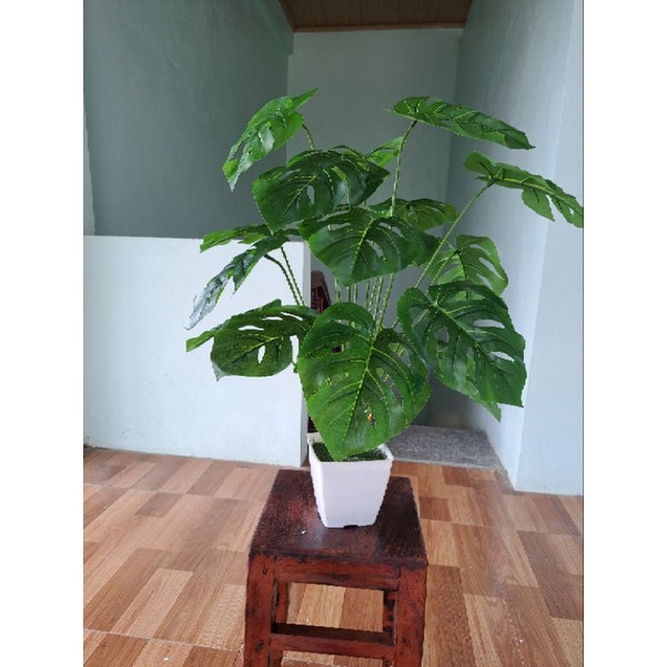 Cây lá rách cao 1M, cây lá rùa- cây giả decor khách sạn, quán cafe, nhà hàng ....