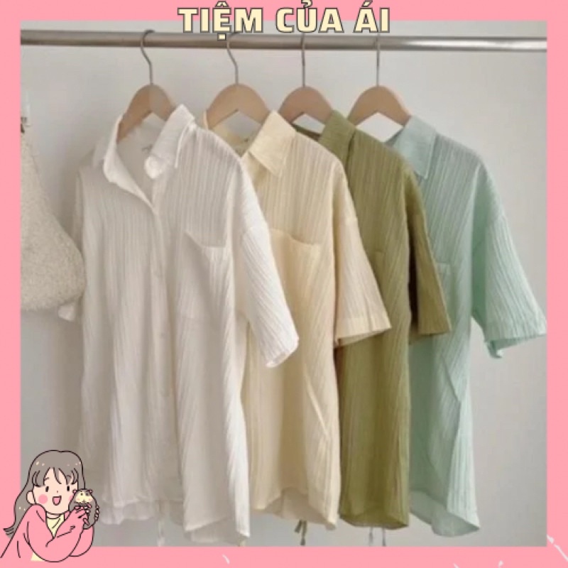 Áo sơ mi đũi xốp xẻ tà sau lưng - Sơmi nữ kiểu tay ngắn buộc dây lưng