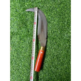 dao mé tàu  dừa