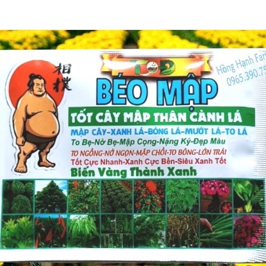 Phân Bón Béo Mập (gói 50g), biến vàng thành xanh - giúp mập thân nở bụi, xanh cây mướt lá