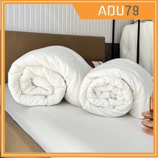 [FREESHIP ❤️] Ruột Chăn Bông Siêu Nhẹ, Siêu Ấm, Bông Tinh Khiết Kháng Khuẩn Màu Trắng Tinh Size To 2M X 2M2 - Nặng 1,7kg