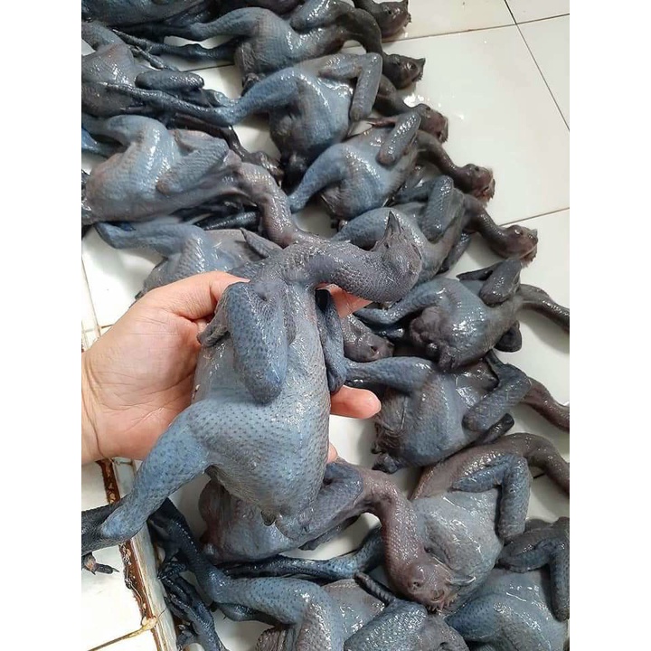 Gà ác 170gr - 250gr