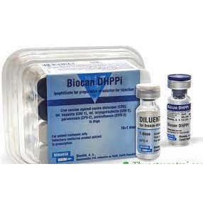 Nhãn vaccin tiêm phòng bệnh chó -tem chứng nhận đã tiêm phòng.