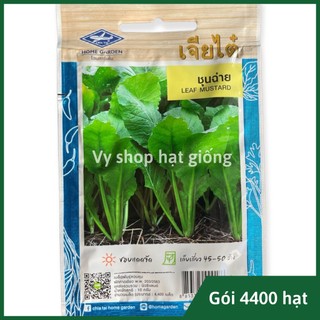 Hạt giống rau cải xanh bốn mùa thái lan gói 2200 hạt