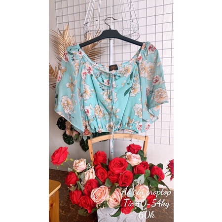 Áo vin dáng croptop