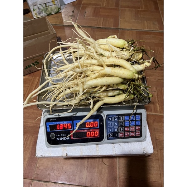 sâm dây Ngọc Linh 15-20 củ/kg