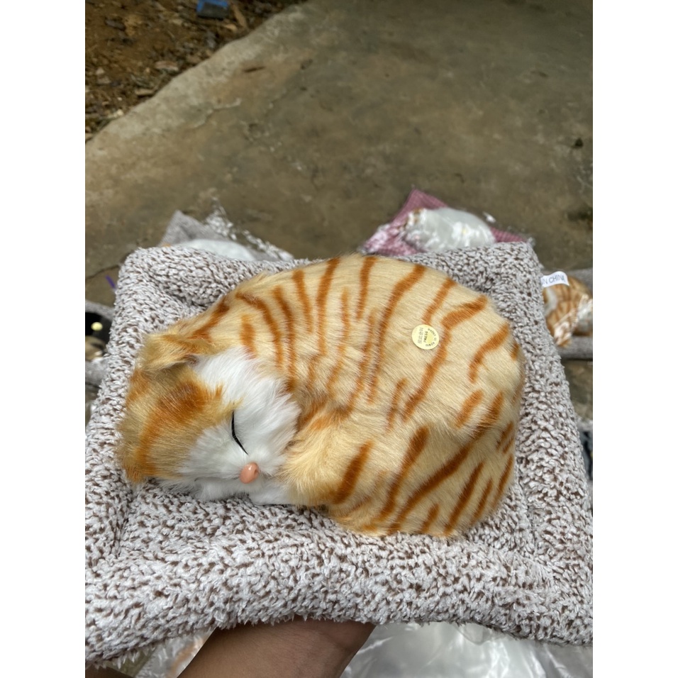 Mèo vằn vàng đơn thú bông than hoạt tính trang trí ô tô,phòng làm việc,bàn học tập,khử khuẩn không khí