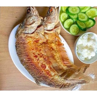 (HCM - CHỈ GIAO HỎA TỐC) Cá thác lác rút xương 1 con