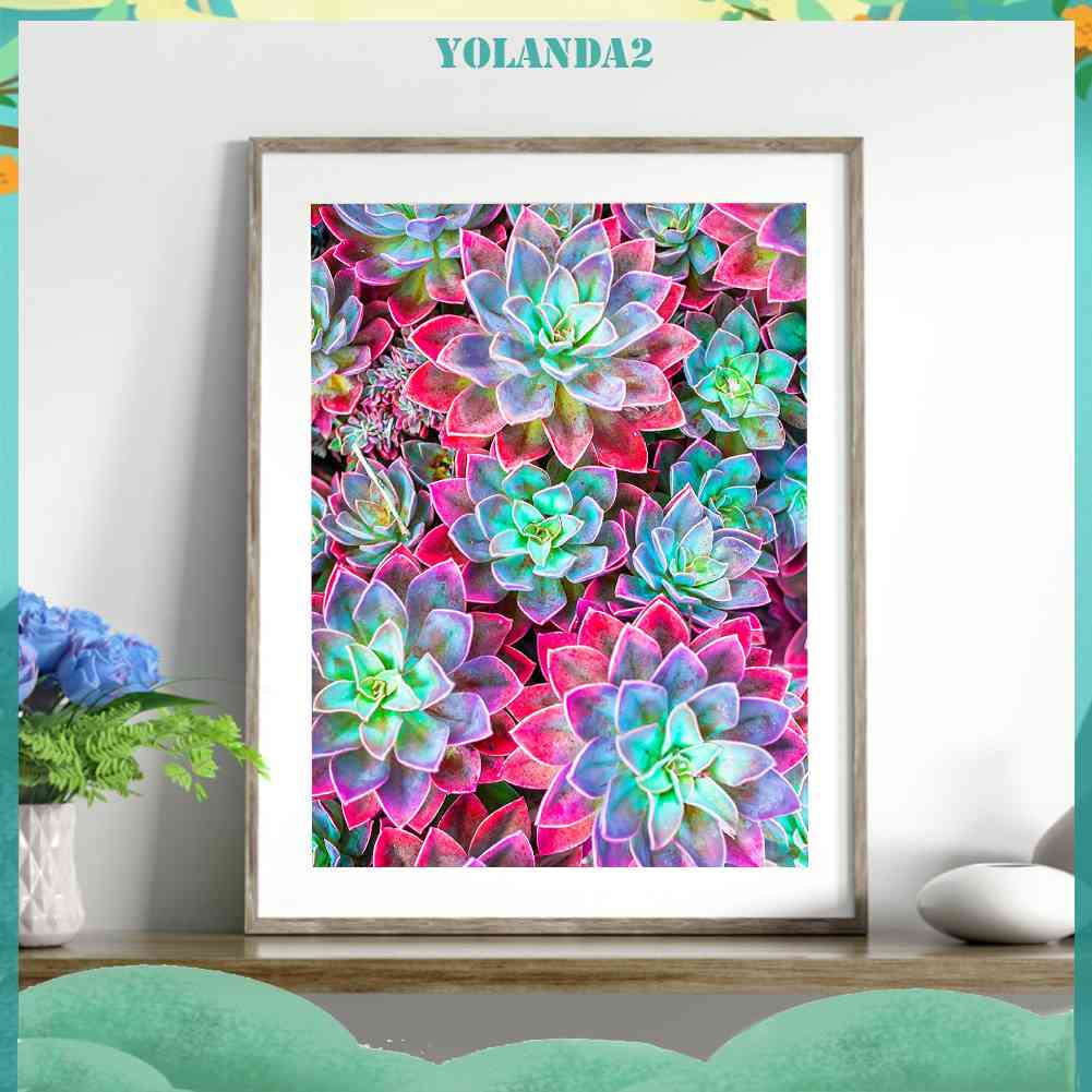 Bộ Tranh Đính Đá 5D Tự Làm Hình Chậu Cây Mọng Nước Đầy Màu Sắc