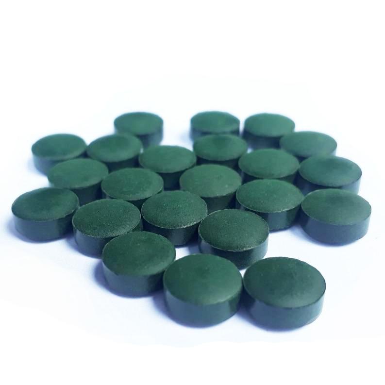 Tảo bột, tảo viên cho cá, nuôi artermia