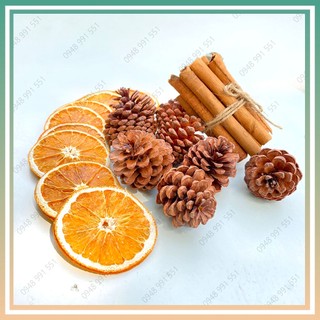 Bộ phụ kiện trang trí cây thông Noel. Cam quế và thông phụ kiện trang trí giáng sinh