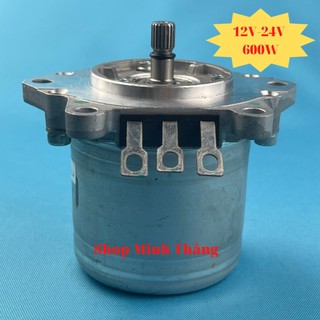 Motor động cơ không chổi than 12v 24v 600w