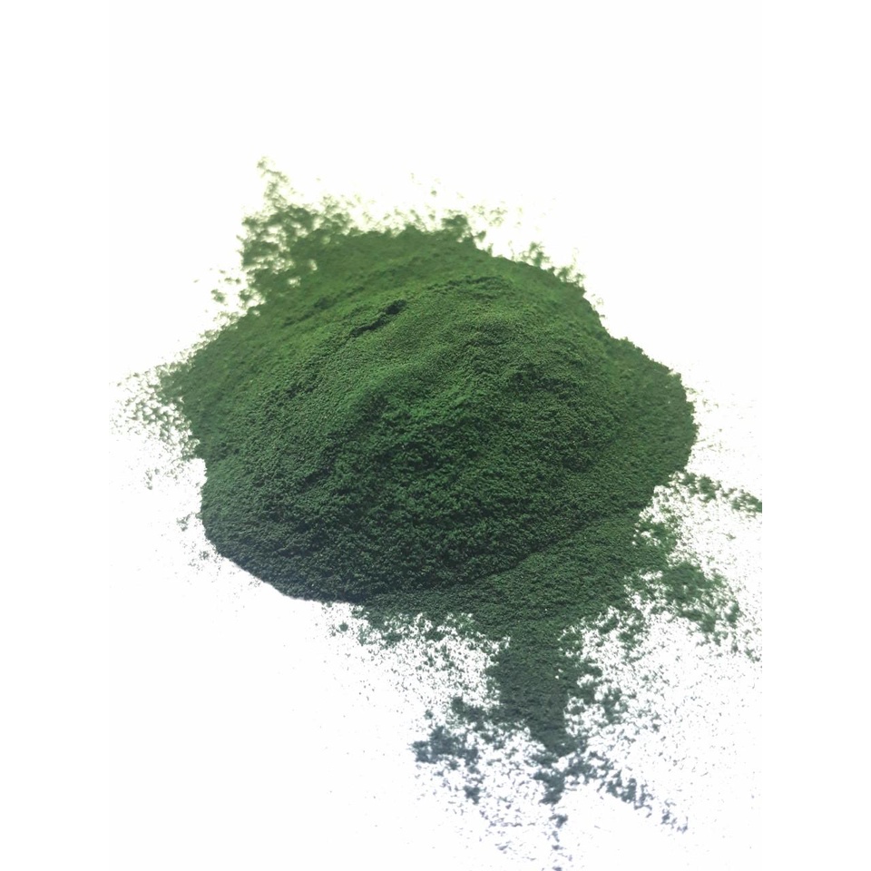 Tảo bột, tảo viên cho cá, nuôi artermia