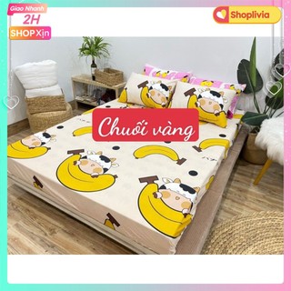 Bộ 1 Ga Chun 2 Vỏ Gối Nằm combo 3 món Poly 1M2/1M6/1M8
