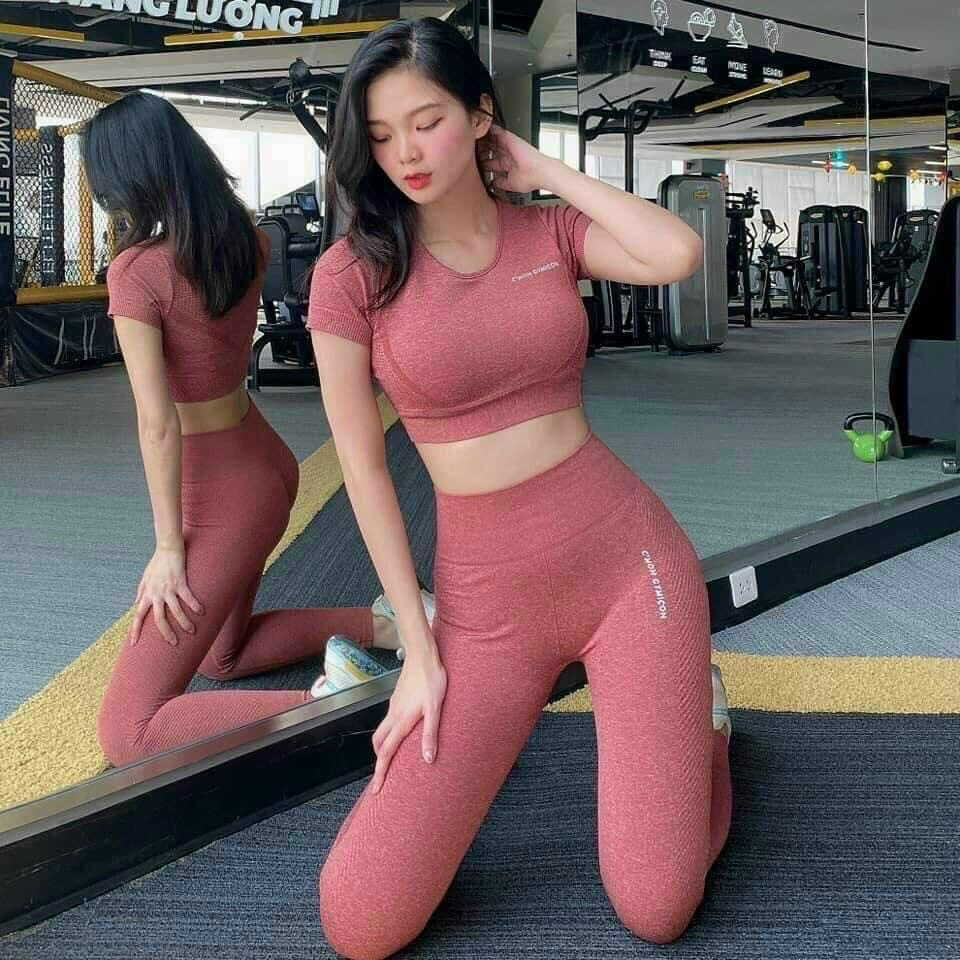 Bộ Dài Tập Dệt Kim Cao Cấp Quần Dài Và Áo Có Tay Dành Cho Nữ Tập Thể Thao Gym, Yoga, Aerobic