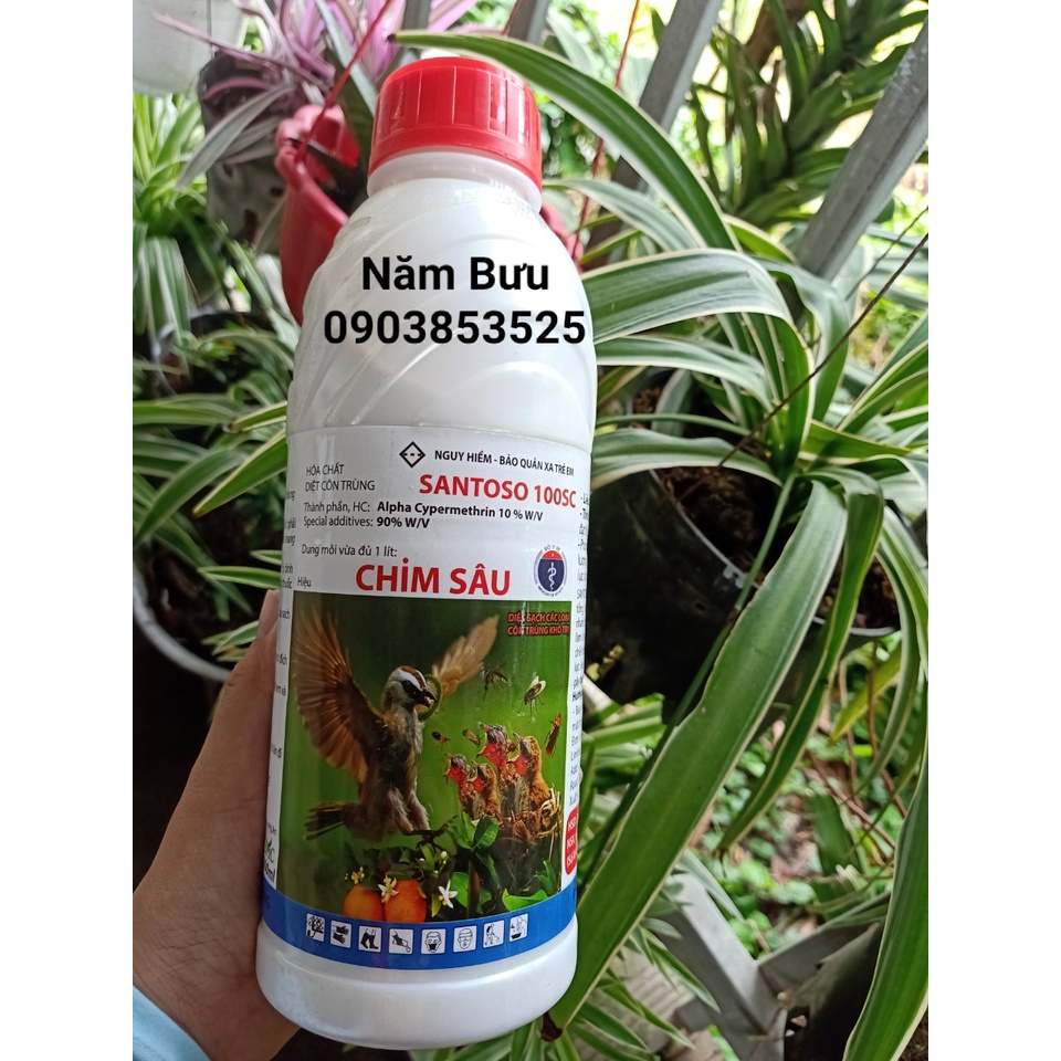 Santoso 100SC - Chim Sâu- 1 Lit BMC