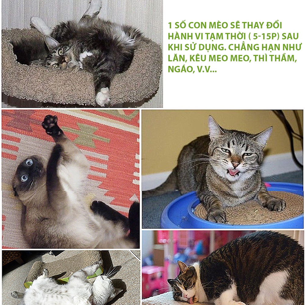 Catnip ball - Viên cỏ bạc hà cho mèo Masti 20g giúp mèo thư giãn, làm sạch răng