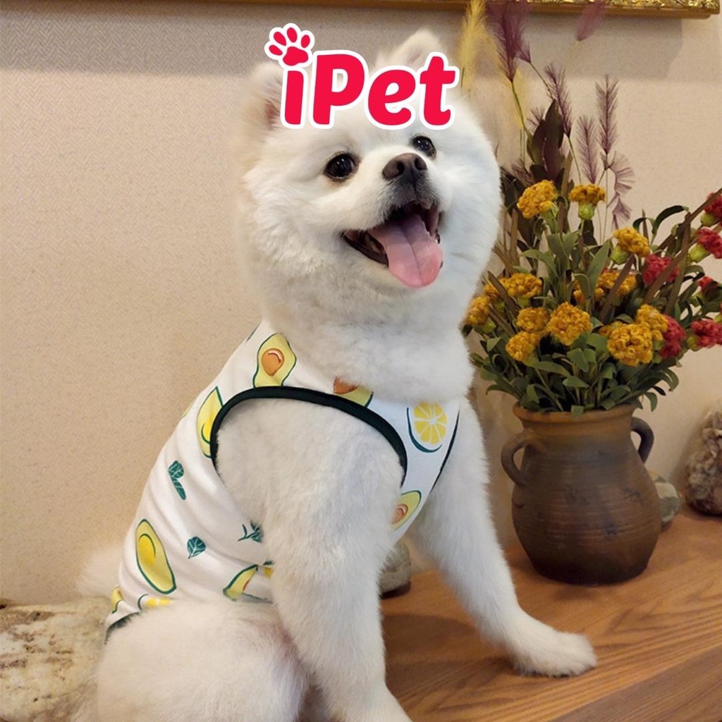 Áo thun ba lỗ trái cây dễ thương thoáng mát cho thú cưng chó mèo - iPet Shop