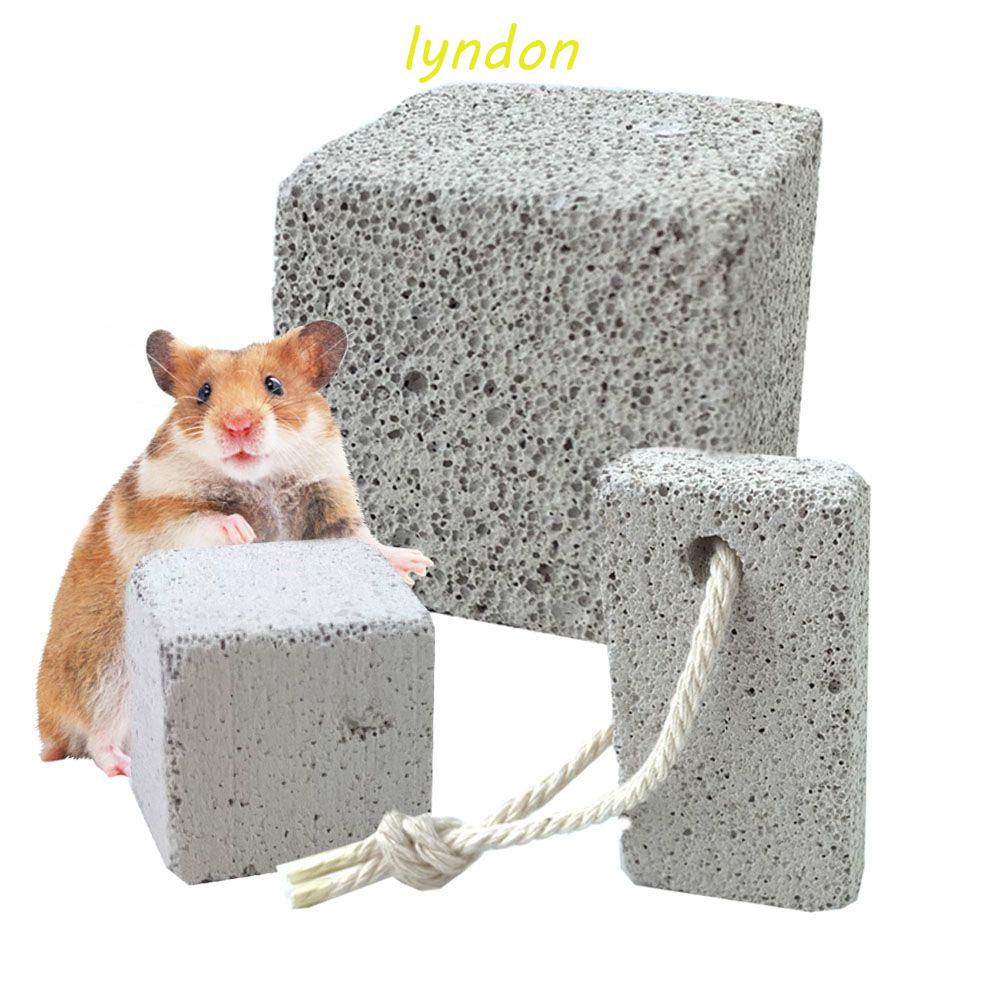 Lyndon Teeth Molar|Núi Lửa An Toàn Cho Chuột Hamster|Đồ Dùng Cho Thú Cưng