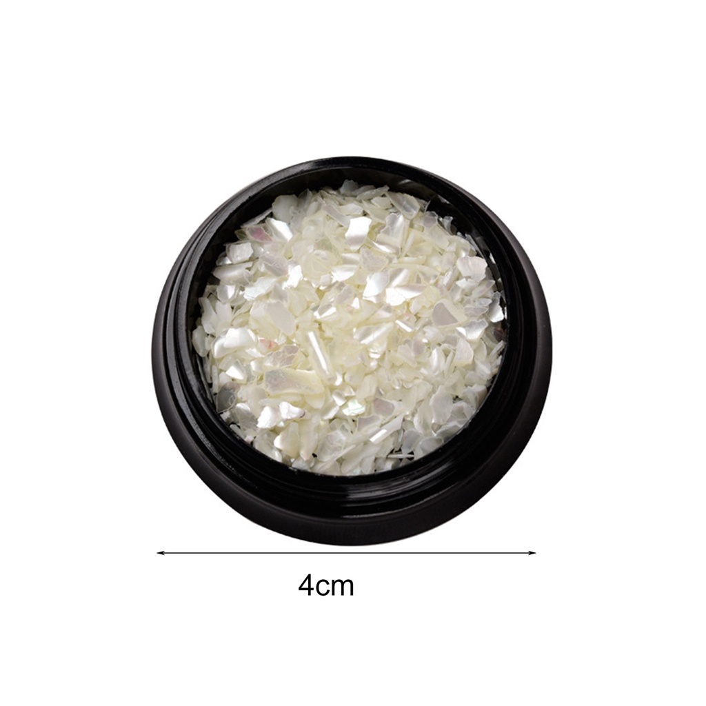 1 Hộp Đá Vỏ Sò Tự Nhiên Dùng Trang Trí Móng Tay Nghệ Thuật