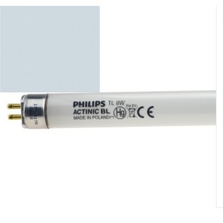 Bóng đèn bắt muỗi PhiLips