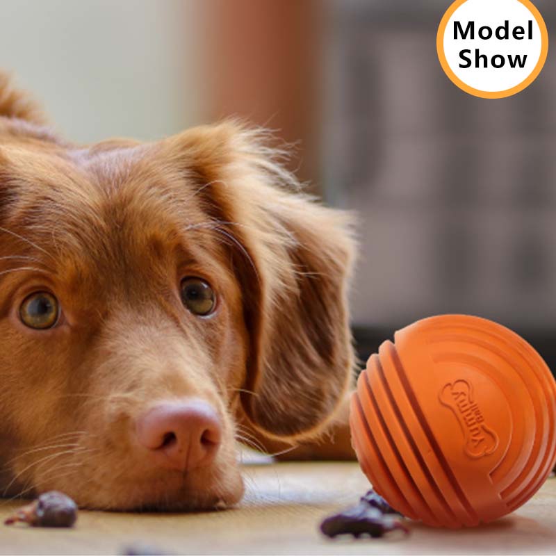 HamshMoc Đồ Chơi GặM HìNh Quả BóNg, GiúP GiảM Căng ThẳNg