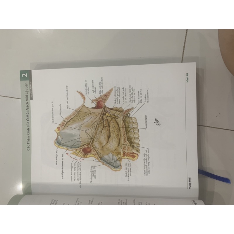 Sách - Atlas giải phẫu người