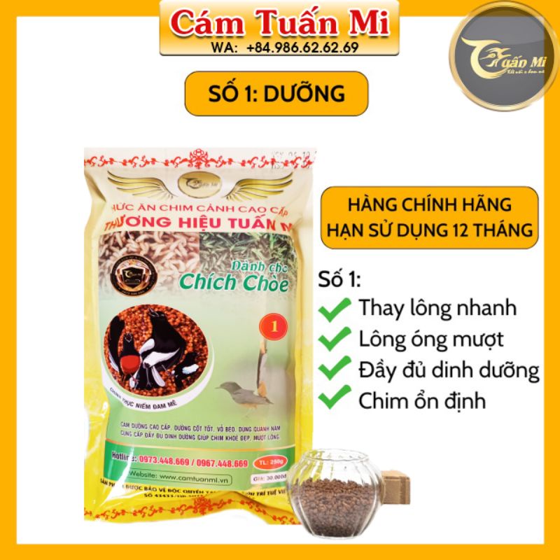 CÁM CHOÈ DƯỠNG