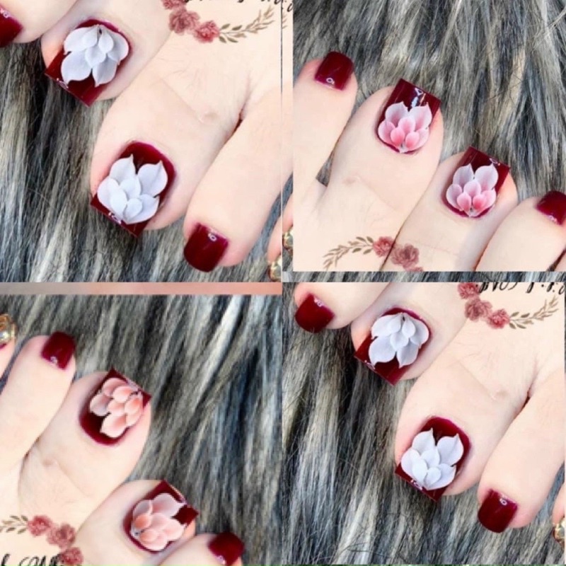 Hoa bột sĩ 100b nn tay chân