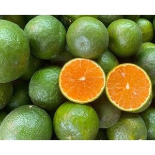 Cam Sành Vĩnh Long Mọng Nước, Vỏ Mỏng - Ship Hỏa Tốc