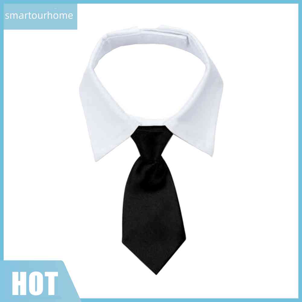 Cà Vạt Mèo Hóa Trang Có Thể Điều Chỉnh Kích Cỡ