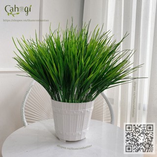 Cây Trang Trí - Cành Mạ Non 0143