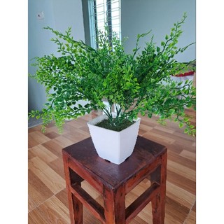 Chậu cây để bàn, chậu hoa để bàn - cây giả, hoa giả, cành điểm