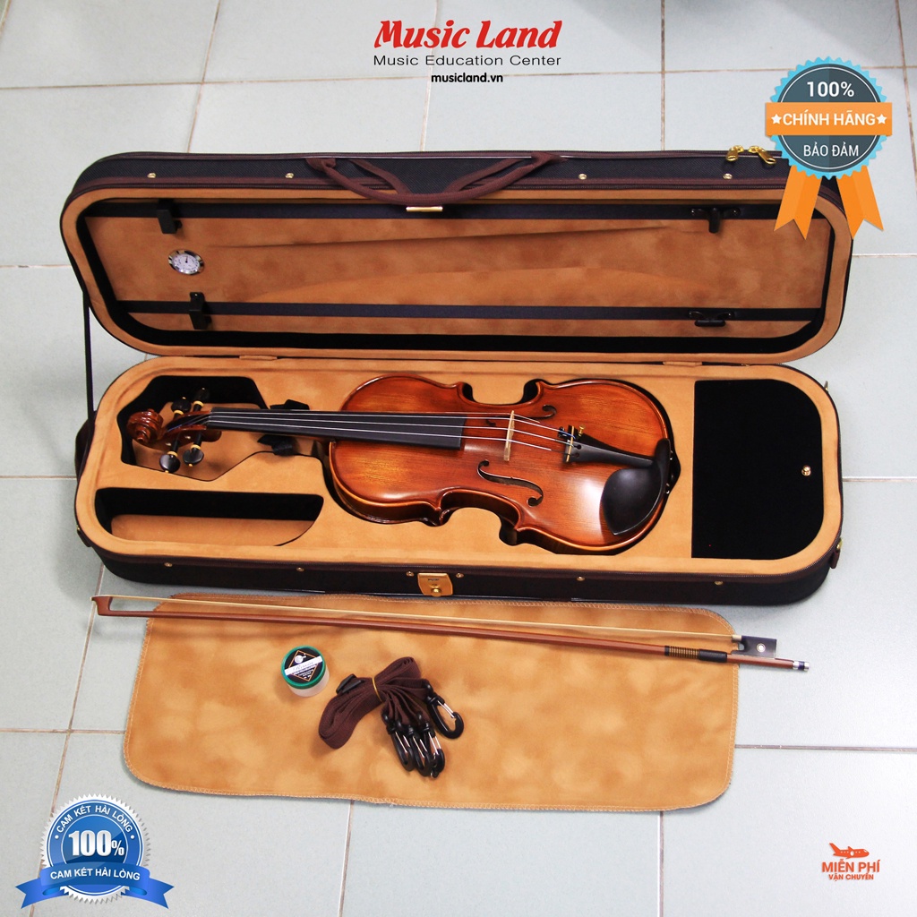 Đàn Violin Amati VF-750M – Chính Hãng