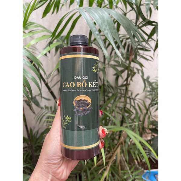 Cao bồ kết gội đầu cô đặc chống rụng tóc chai 500ml cực tốt