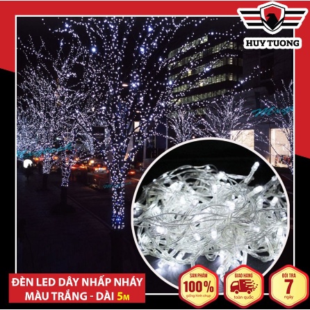 🎄 Dây Đèn Led Trang Trí NOEL Nhấp Nháy Tự Động Chuyển Màu Cắm Điện 🎄