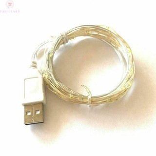 Dây Đèn LED Cổng Micro USB Trang Trí Tiệc